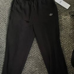 Alo Sweat Pants