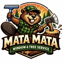 No Arriesgues  la escalera – deja que los profesionales se encarguen! 🪜🚫