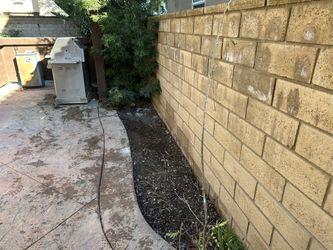 Clean Ups