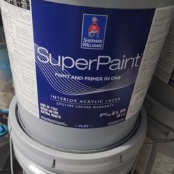 Primer And Paint Extra White Flat