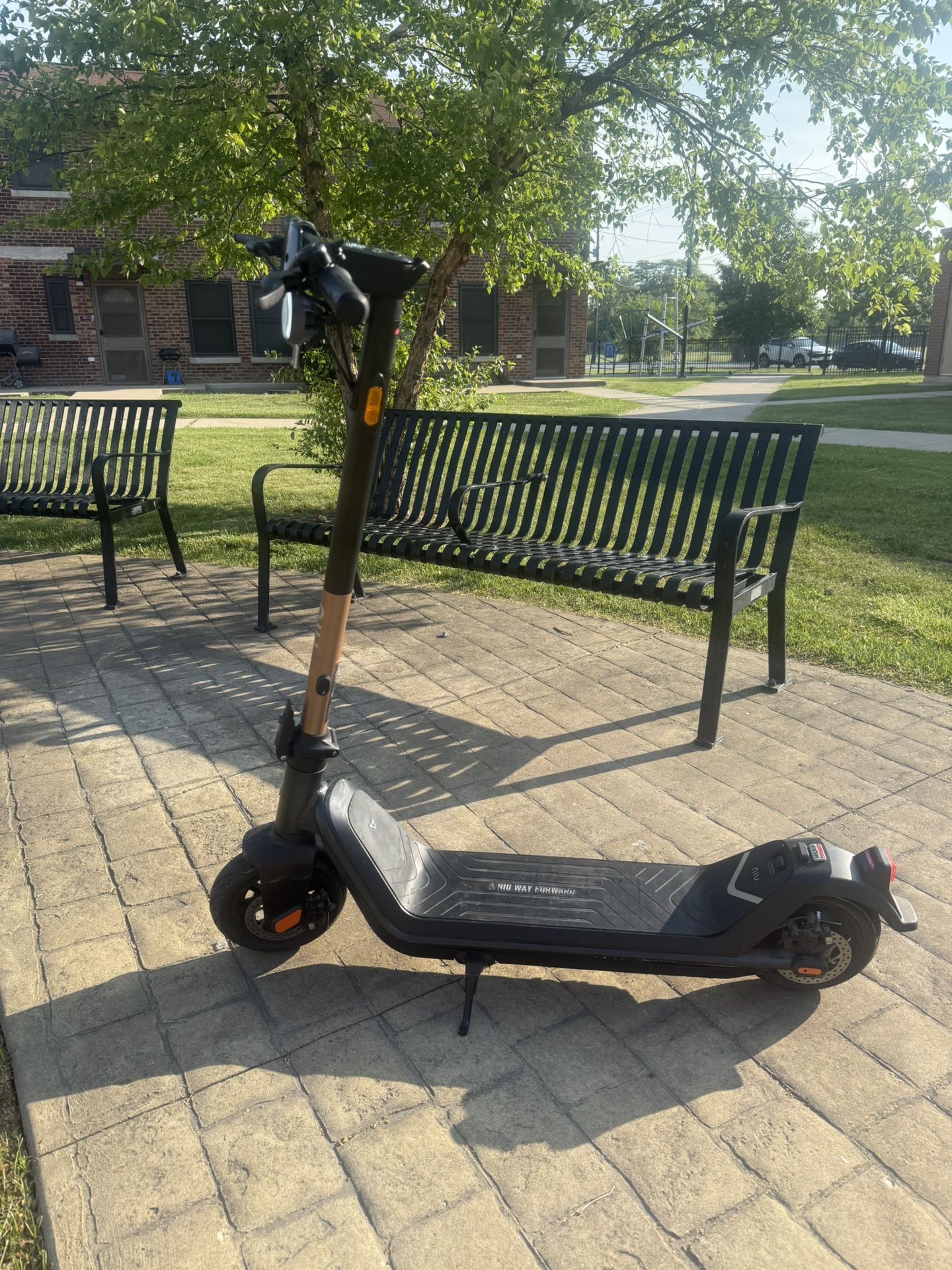 NIU kick scooter KQi3 Pro Rosegold
