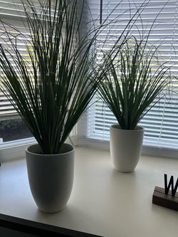 Faux Grass Plants in White Pots – Set of 2