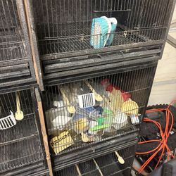 Canary Breeding Cage With Lights