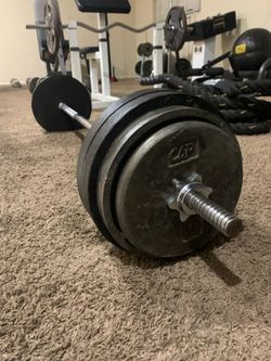 155lb Cast Iron Barbell Weight Set – Perfect for Arm Workouts & Curls