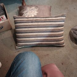 Two Pillows For The Couch Tan White And Brown Blue