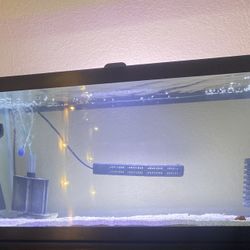 Fish Tank Items 
