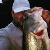 Tim Southard