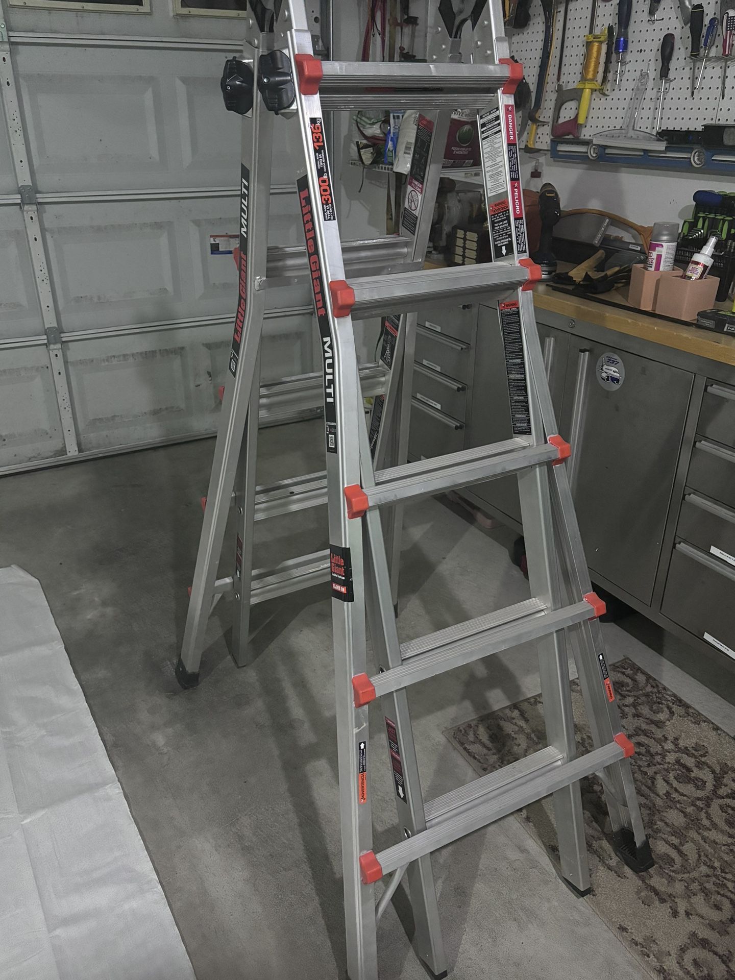 22’ Little Giant Extension Ladder W/gutter Guard