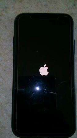 iPhone X 256gb Silver (Factory Unlocked)