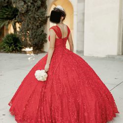 quinceañera (quince) dress/ sweet 16 dress