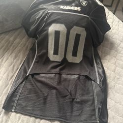 Raiders Costume For Dogs 