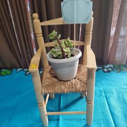 Vintage Light brown Wood Chair With Rush Straw Seat Mini , With Succulents In pot 