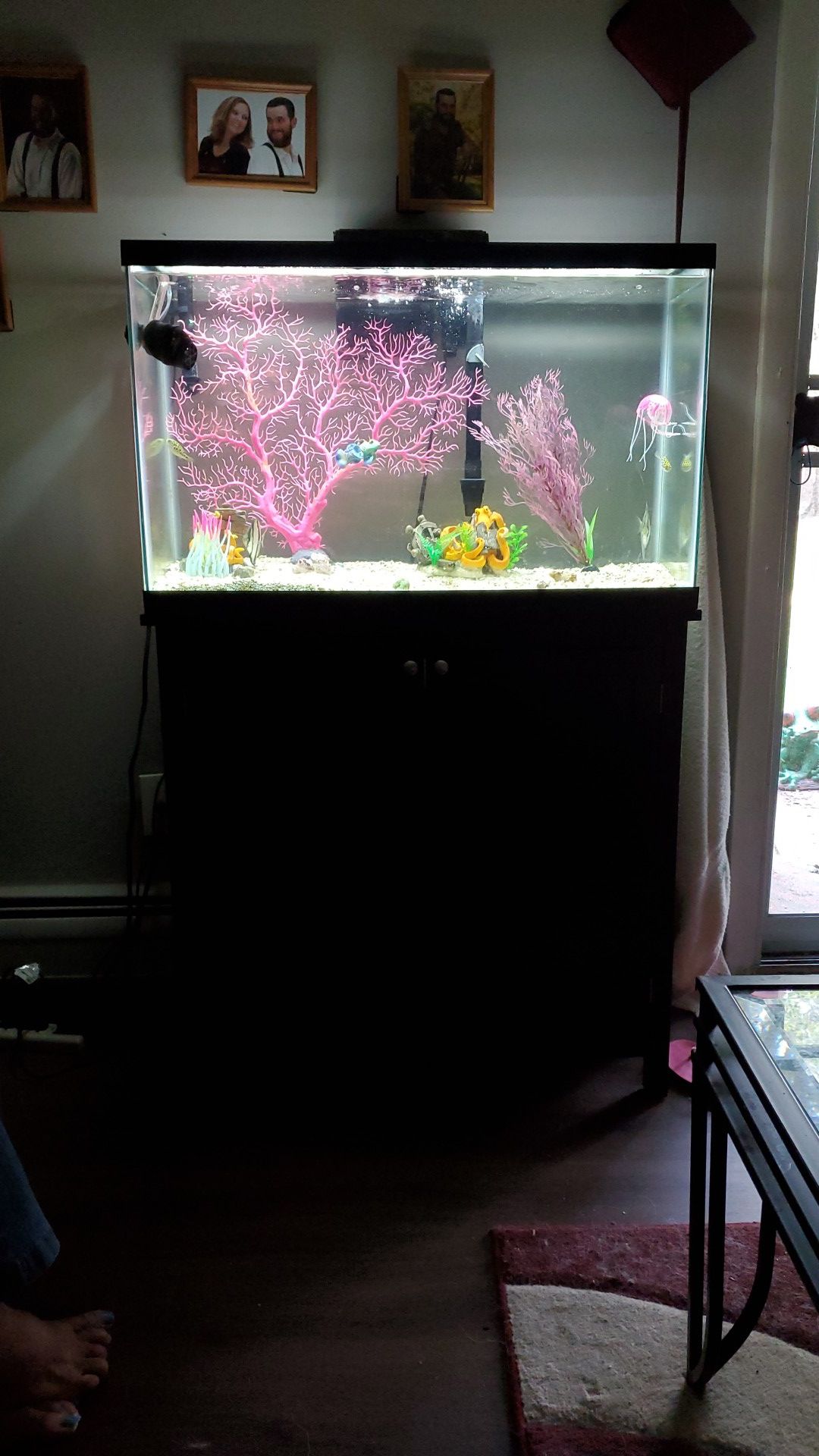 29 gallon tank and cherry stand