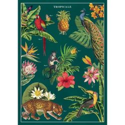 Free Poster with frame