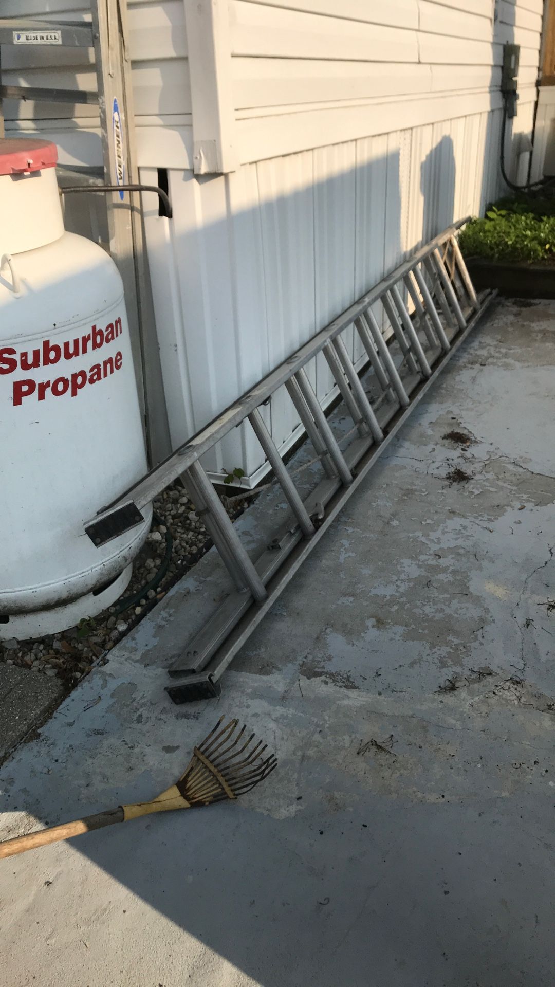 Double Ladder
