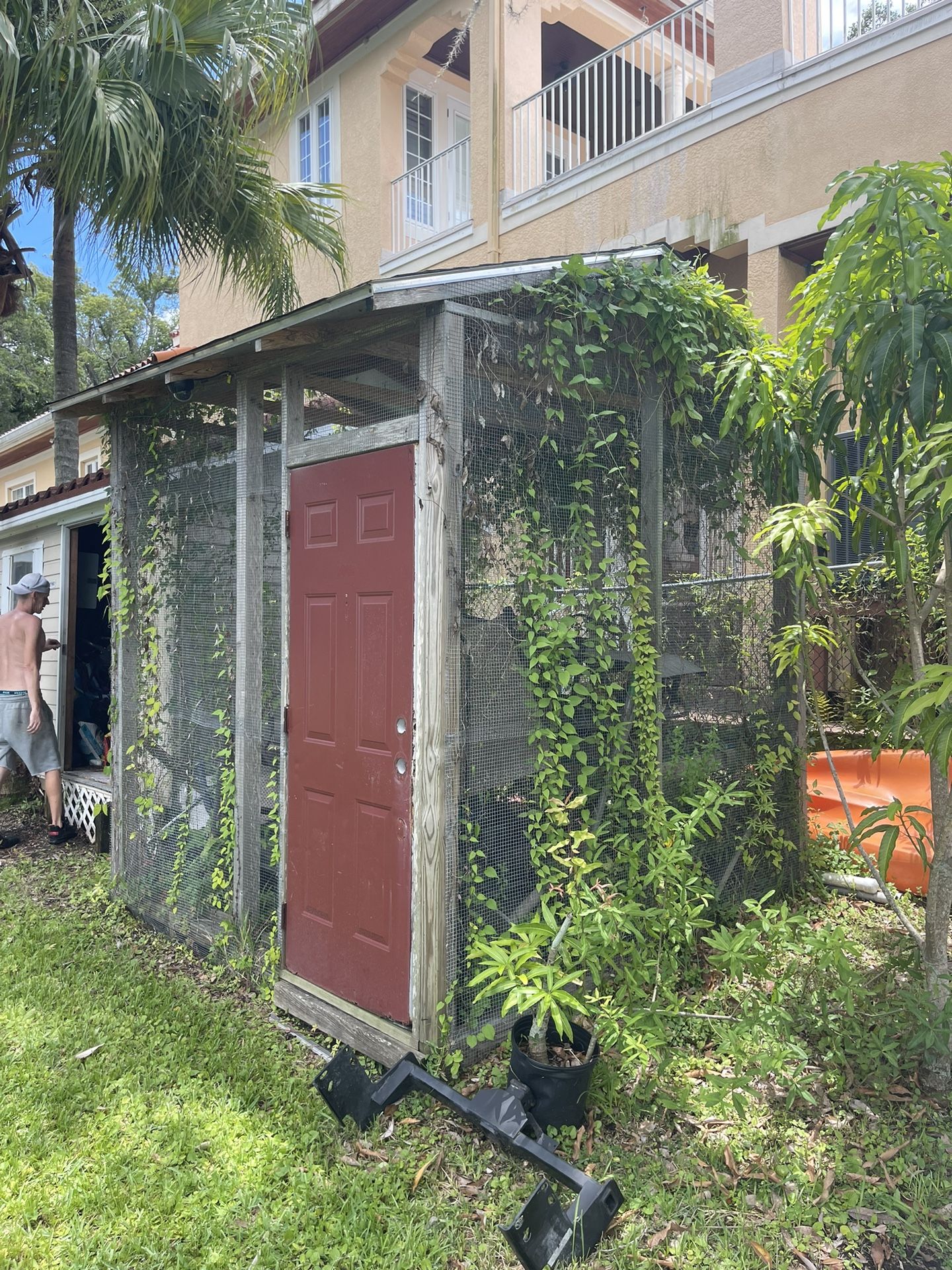 Chicken Coop Or Shed