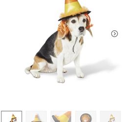 Candy Corn  Witch Hat Size S/M & L/XL For Dogs 