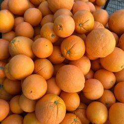 Oranges