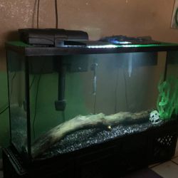 75 Gallon Fish Tank Aquarium With Accessories 