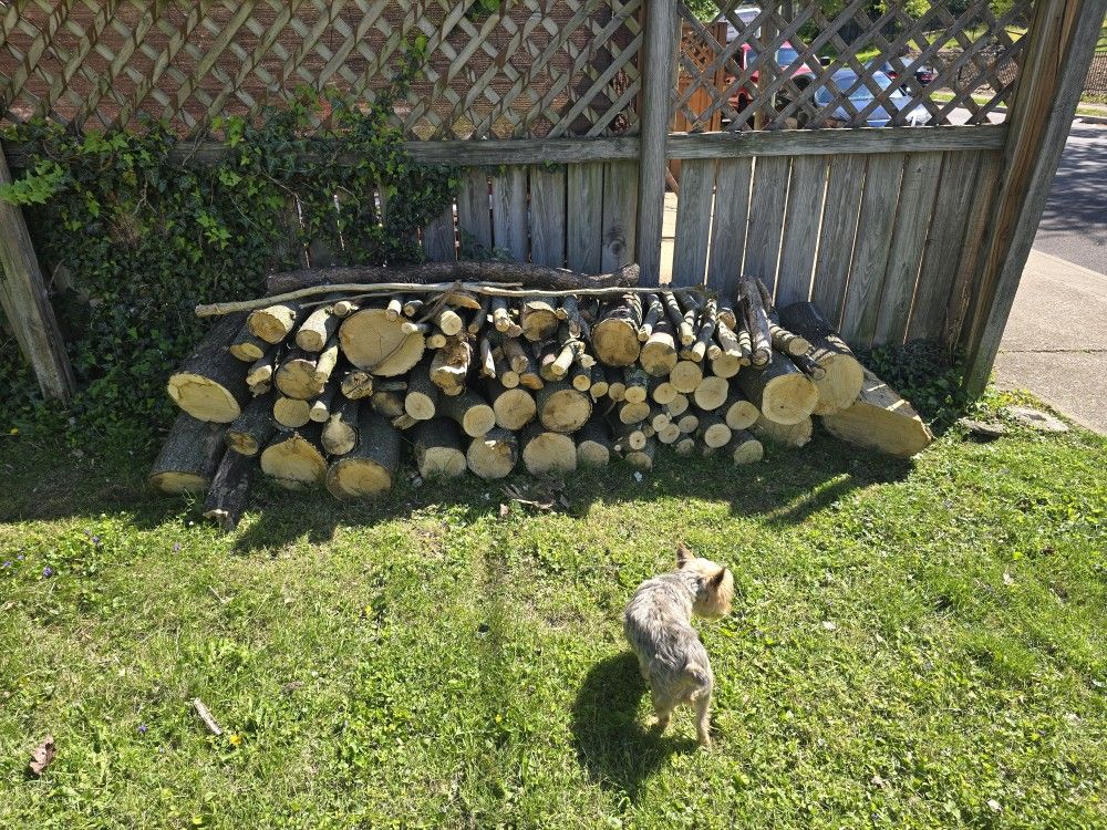 Firewood