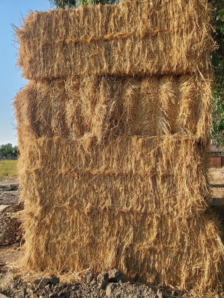 Hay For Sale