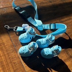Doggie leash and shoes