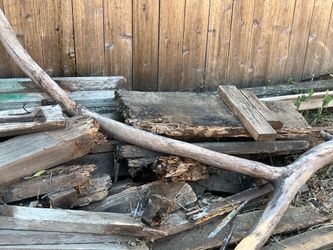 Free firewood