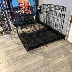 Dog Kennel