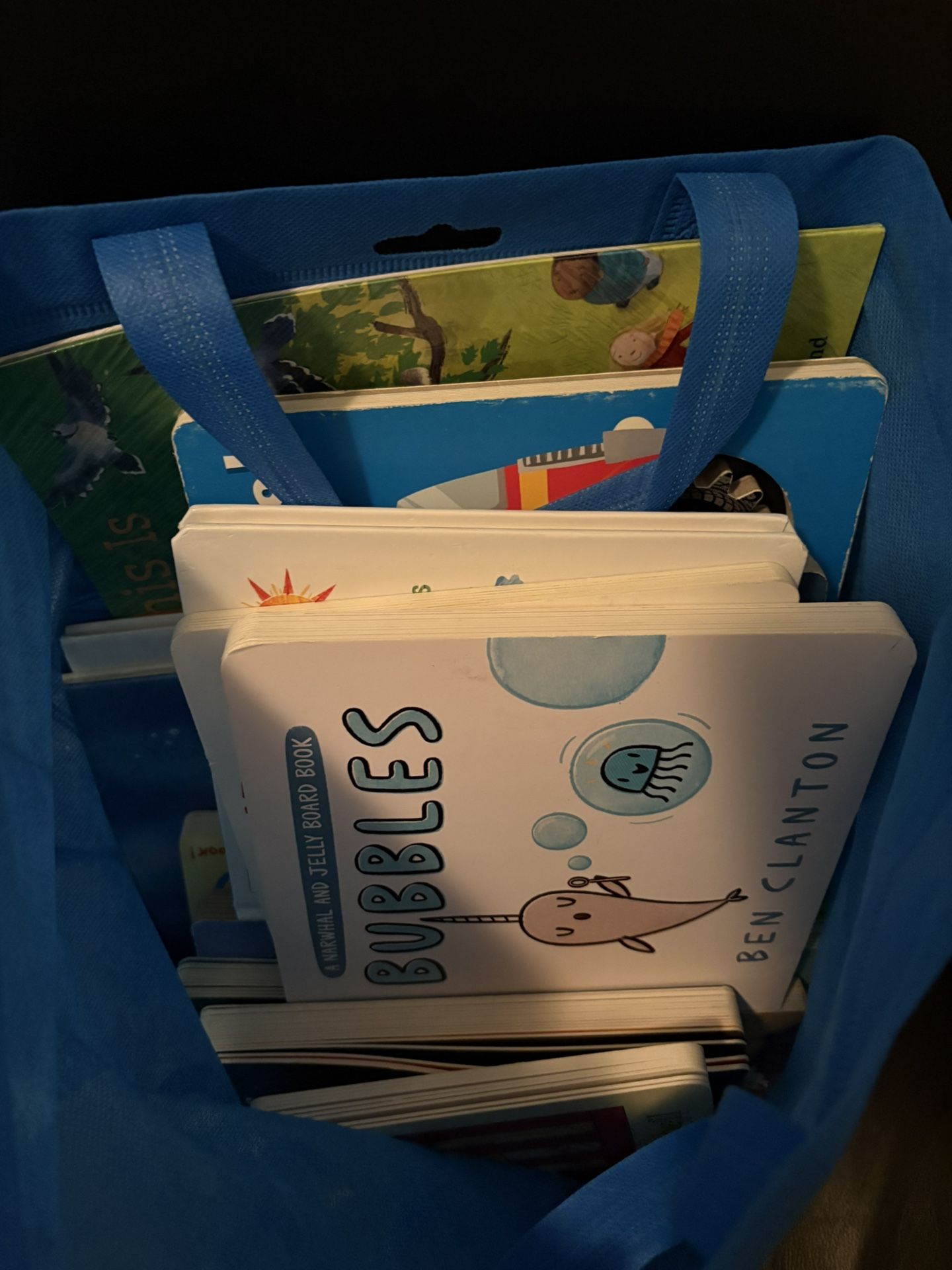 Board Books/childrens books