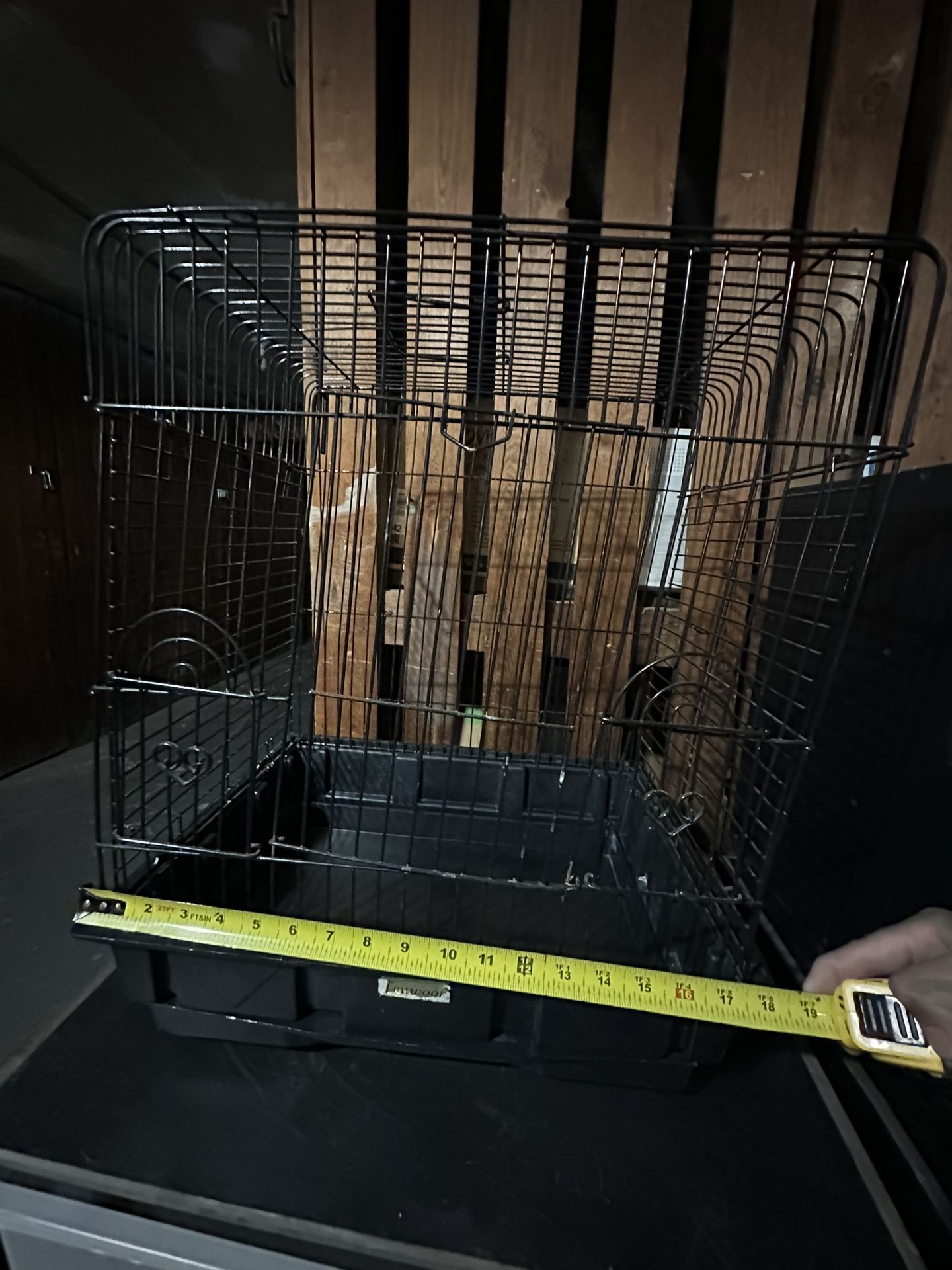 Bird Cage