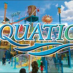 Aquatica 