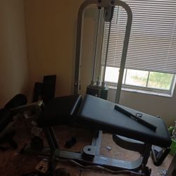 Center Drive Lying Leg Curl 