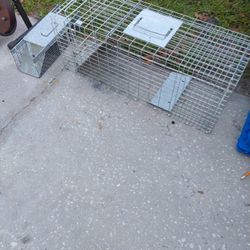 Animal Traps 