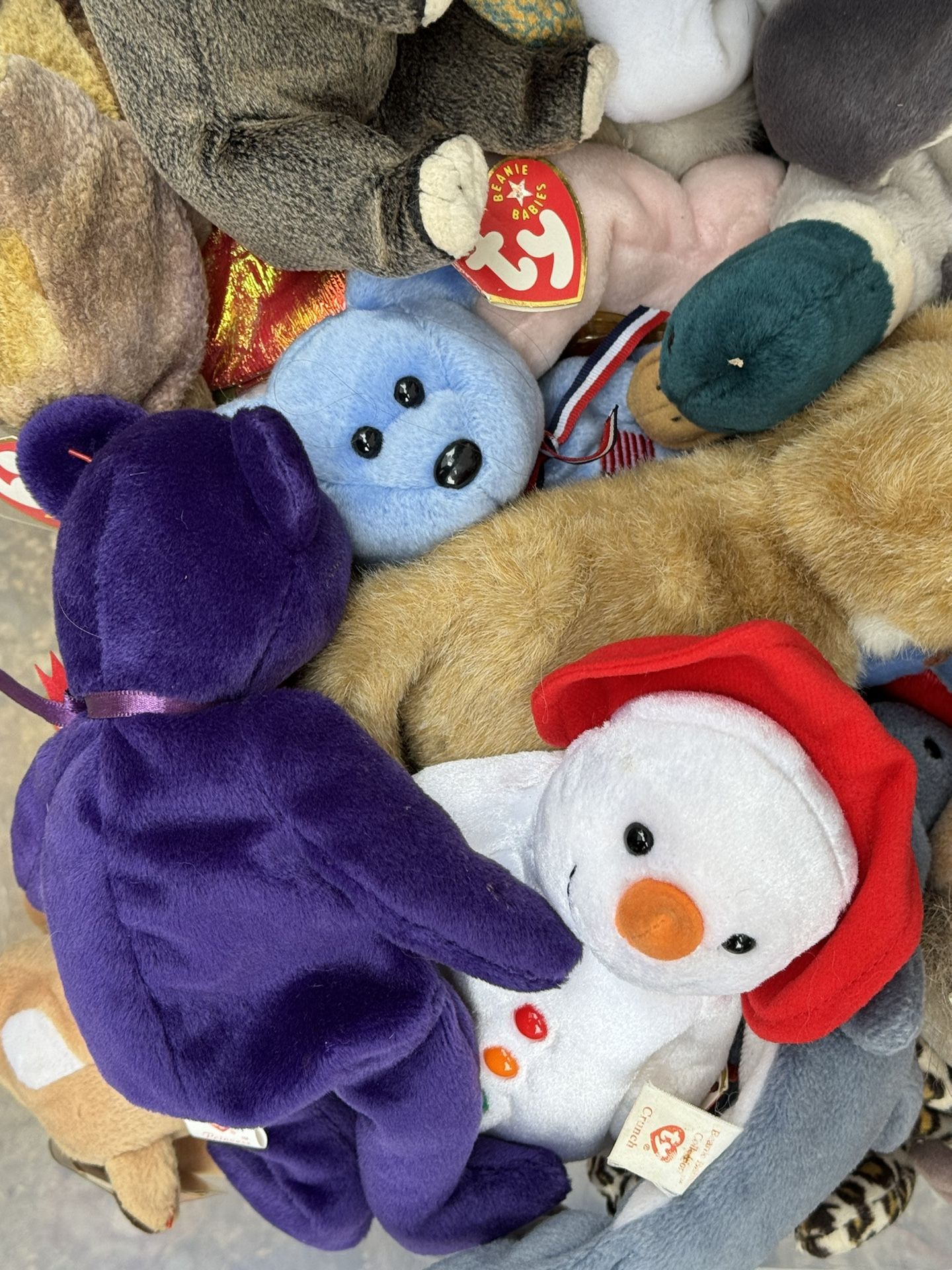 Largest assortment of beanie babies