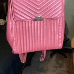 Purse/backpack