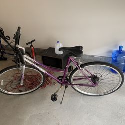 Adult Bike 