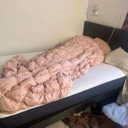 Small Couch And Full Size Bed 