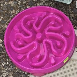 Dog Dish Slow Feeder 