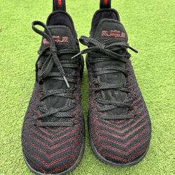 Nike LeBron 16 Shoes