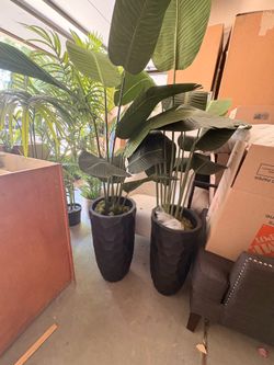 Various Plants- Artificial & Decorative