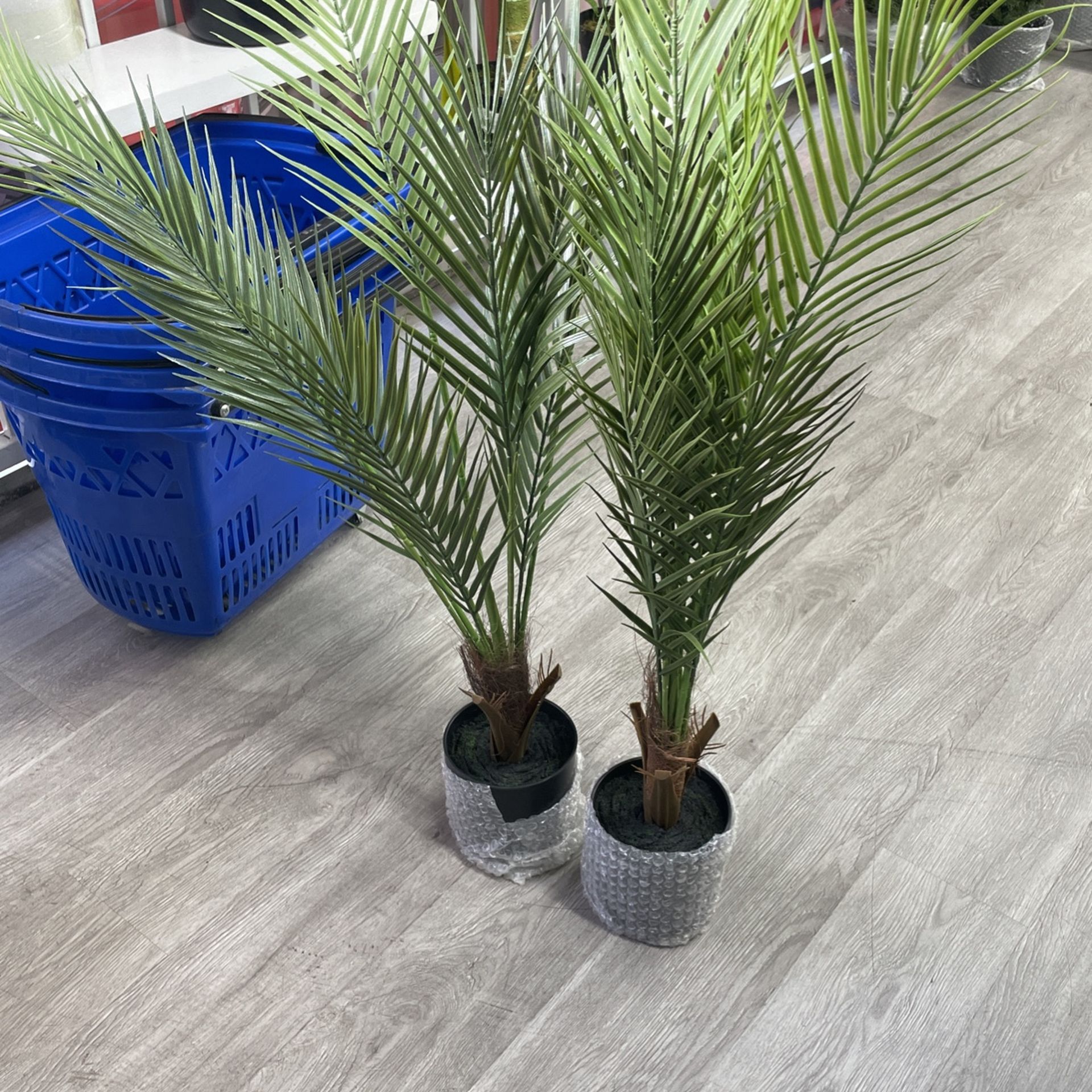 Palms 2 PCs New 3 Feet