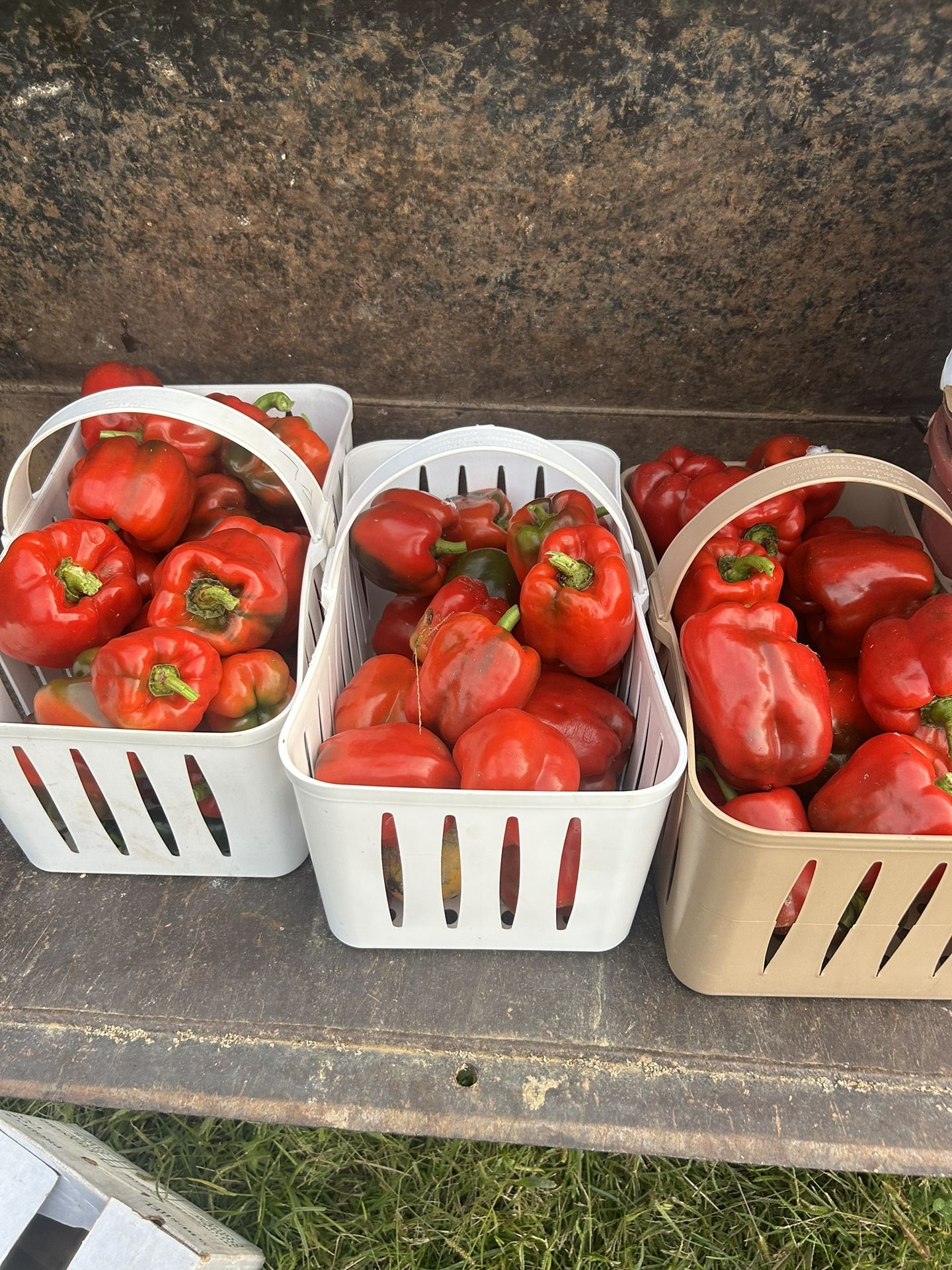 Red Bell Peppers