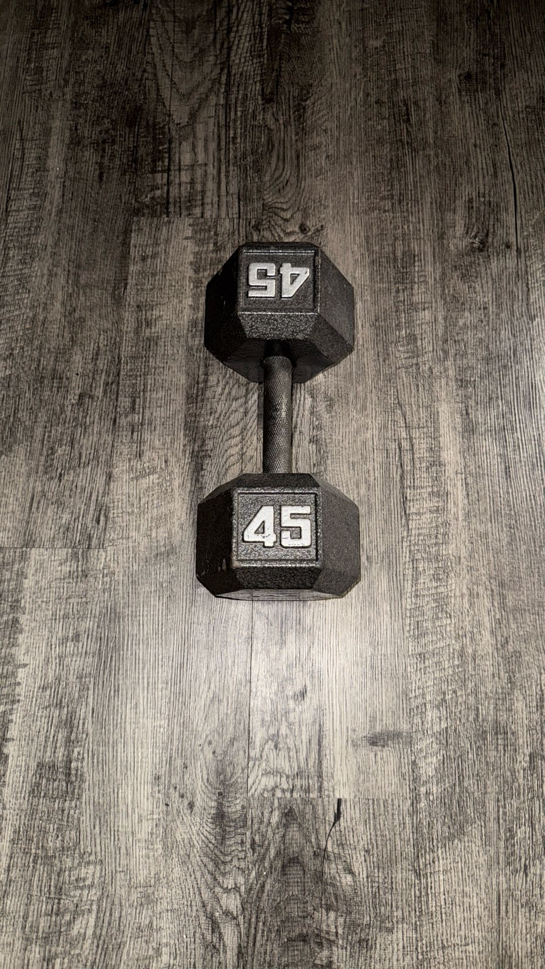 Single 45 lb dumbbell