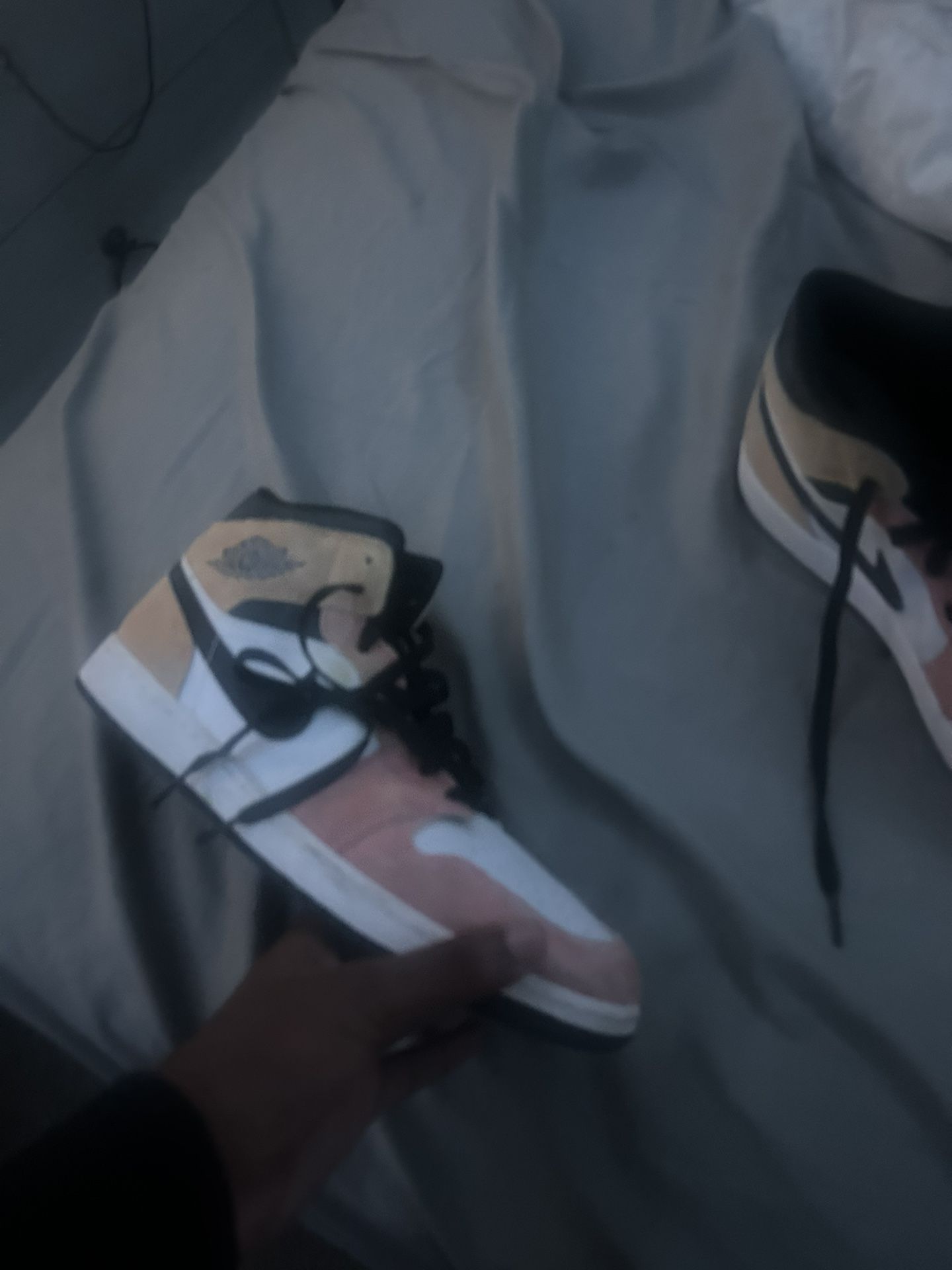 Air Jordan 1