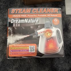 Steam Cleaner
