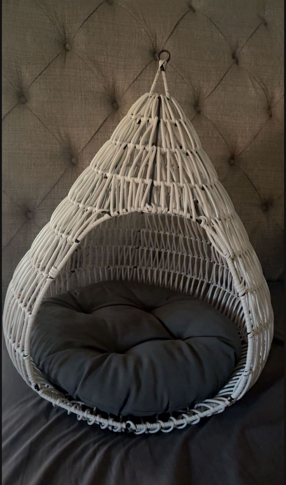 Dog Bed