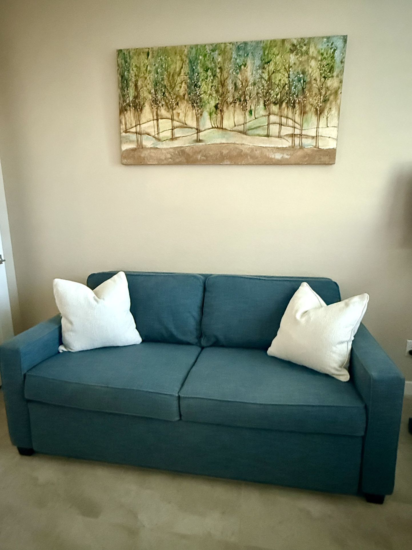 West Elm Sleeper Sofa