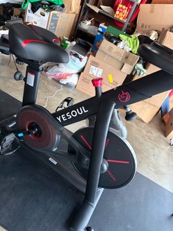 YESOUL (working out bike)