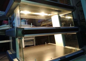 Food Warmer