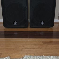 Yamaha CBR12 Speakers